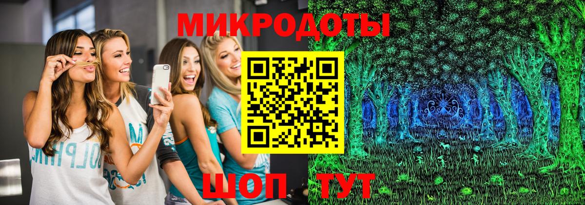 Псилоцибиновые грибы Cubensis Москва