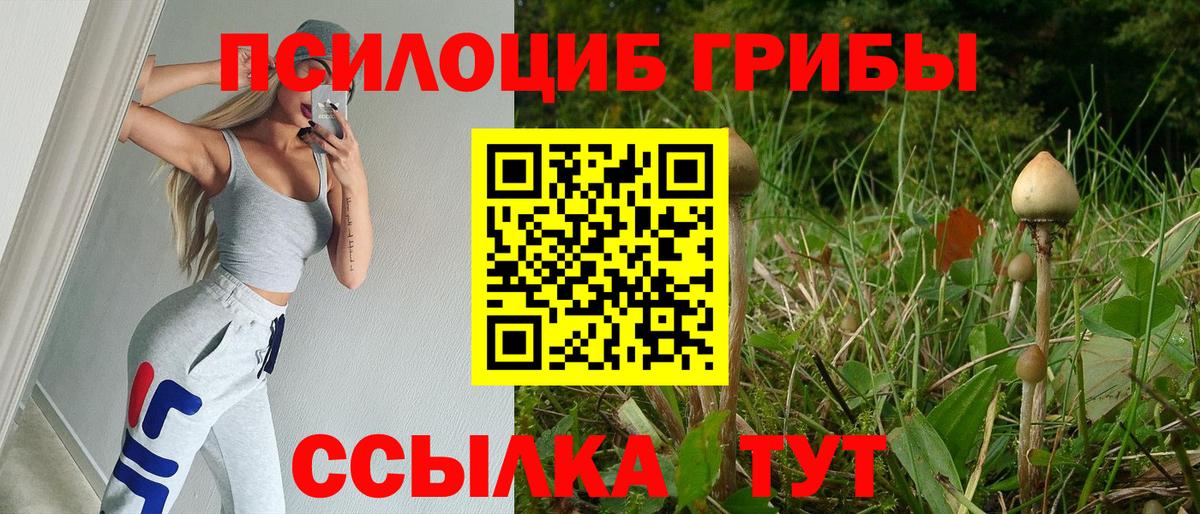 Москва  Псилоцибиновые грибы мицелий  Вход с VPN 